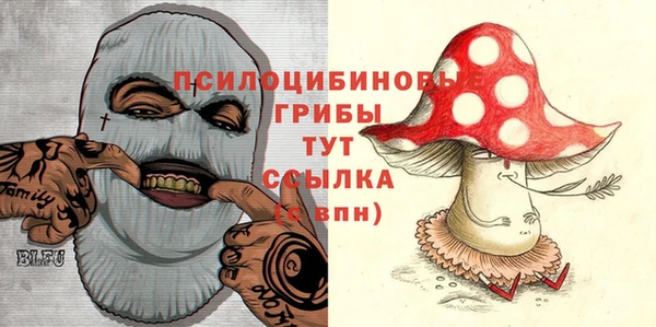 ПСИЛОЦИБИНОВЫЕ ГРИБЫ Усмань