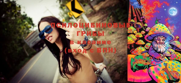 ПСИЛОЦИБИНОВЫЕ ГРИБЫ Усмань